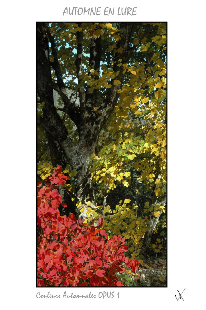 AUTOMNE EN LURE COULEURS AUTOMNALES OPUS 1 IMPRIMABLE