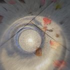 Automne en orbite