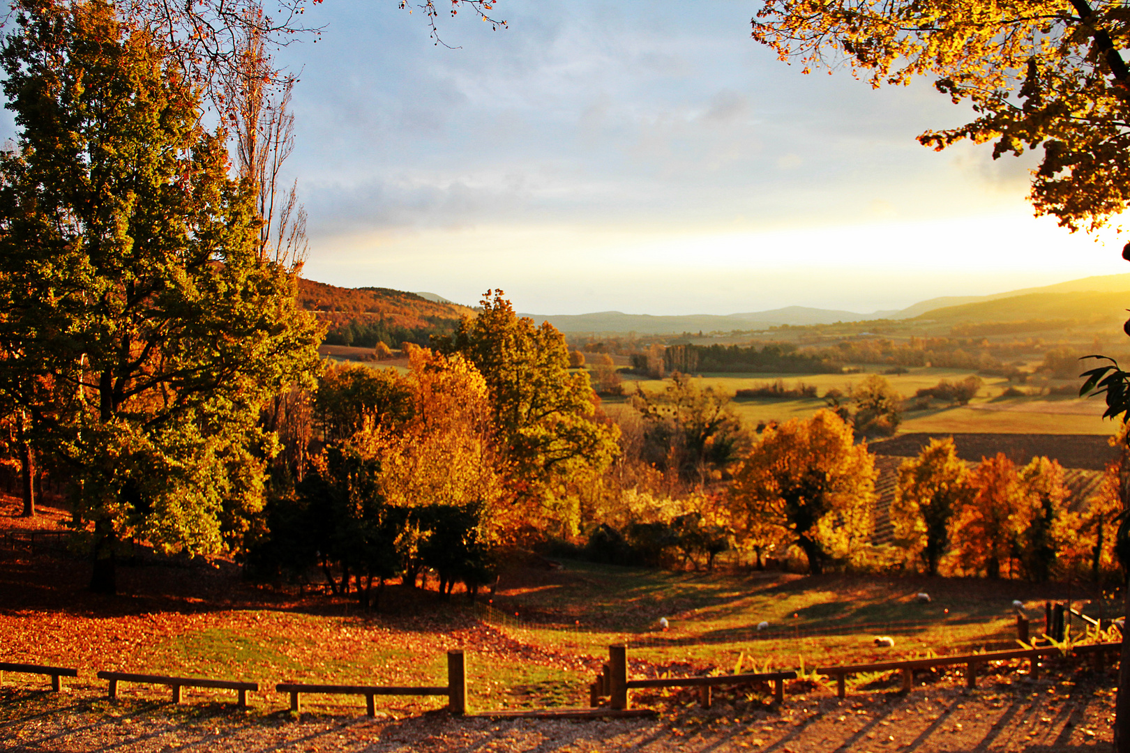 Automne en Provence