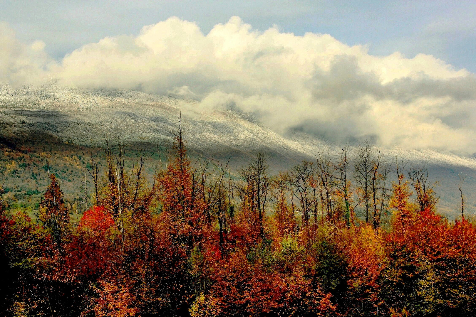 Automne en Savoie