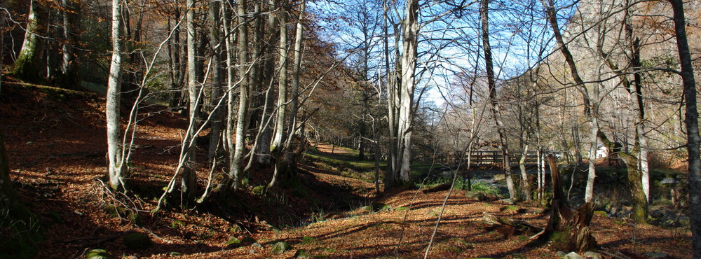 automne en vallée d'orlu - dept 09 france