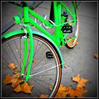 Automne en vert