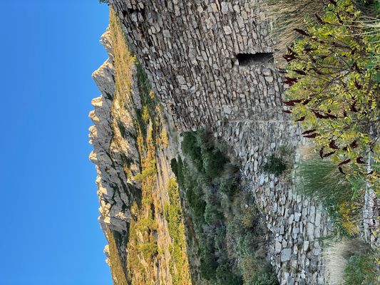 Automne et ciel bleu sur la muraille de Chine.