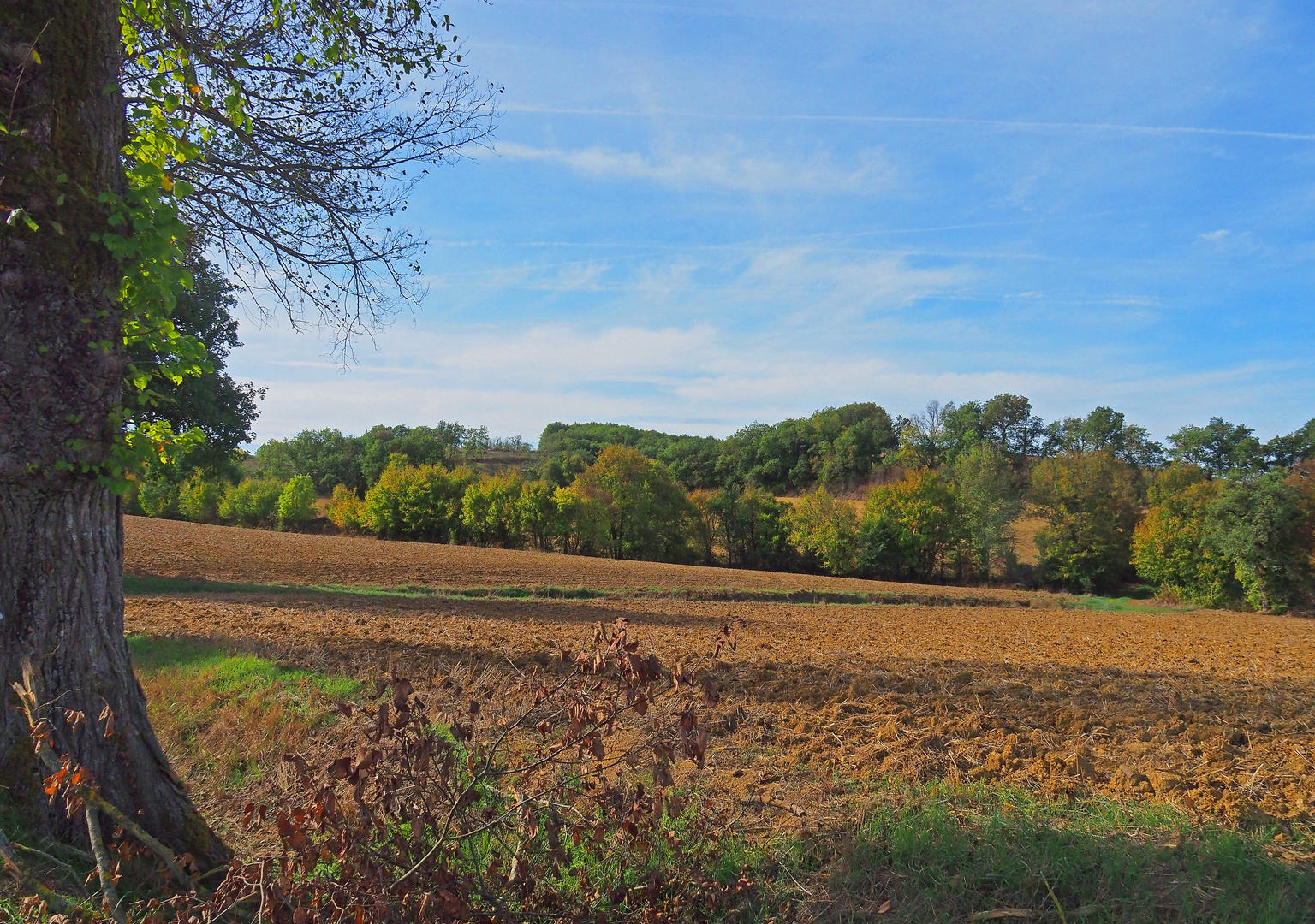 Automne gersois près de Auch