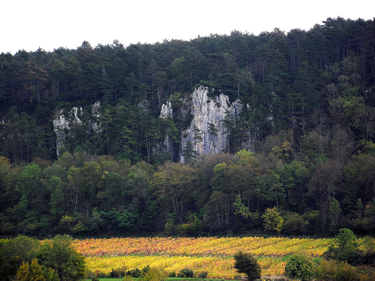 AUTOMNE JURASSIEN