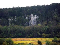 AUTOMNE JURASSIEN