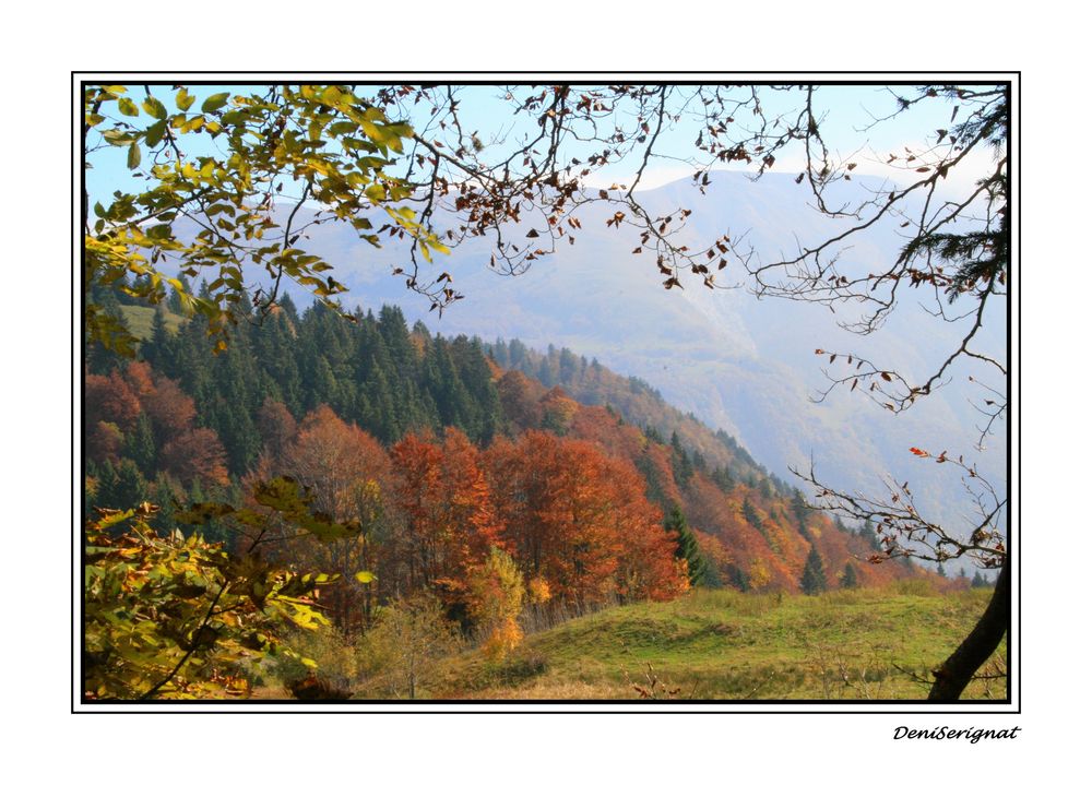 automne Jurassien