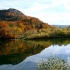 Automne le long de la Bienne