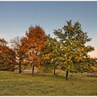 Automne Neuf-Brisach 2017