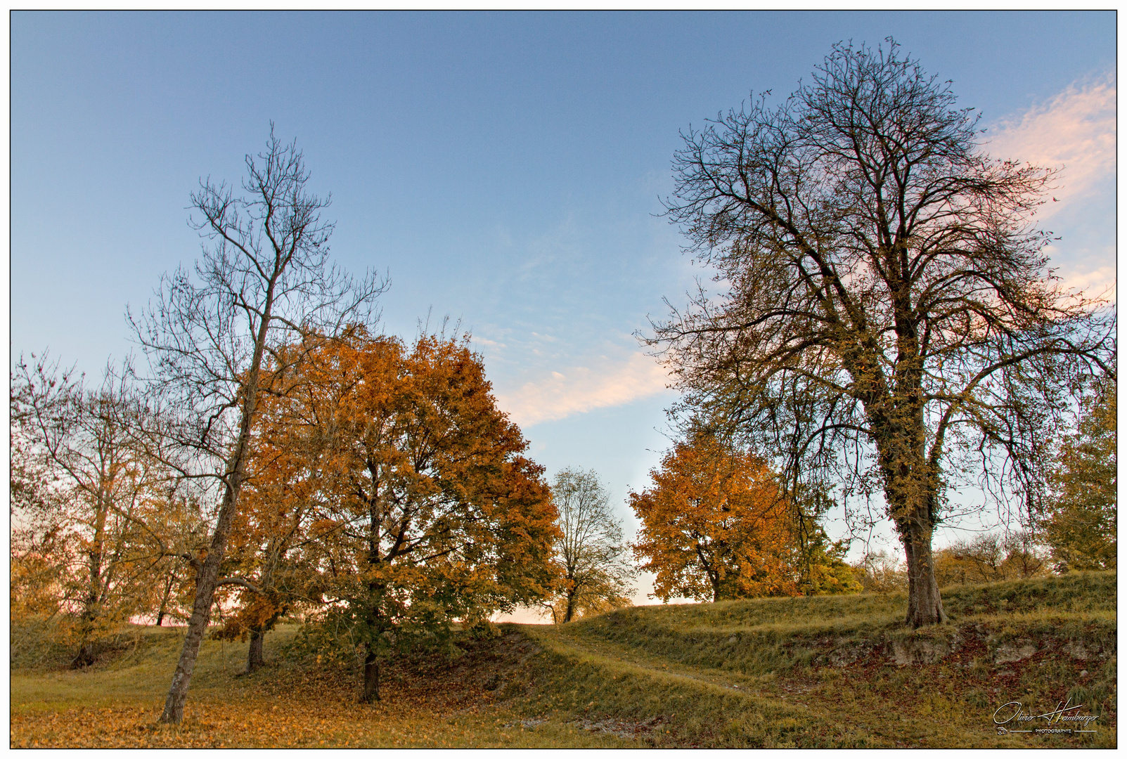 Automne Neuf-Brisach 2017