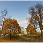 Automne Neuf-Brisach 2017