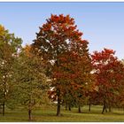 Automne Neuf-Brisach 2017