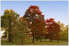 Automne Neuf-Brisach 2017