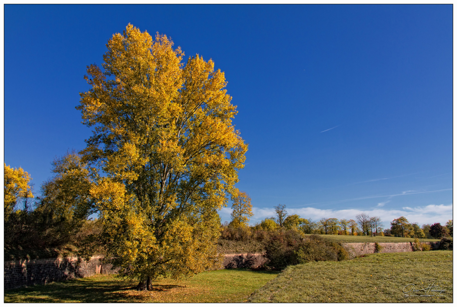 Automne Neuf-Brisach