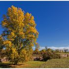 Automne Neuf-Brisach