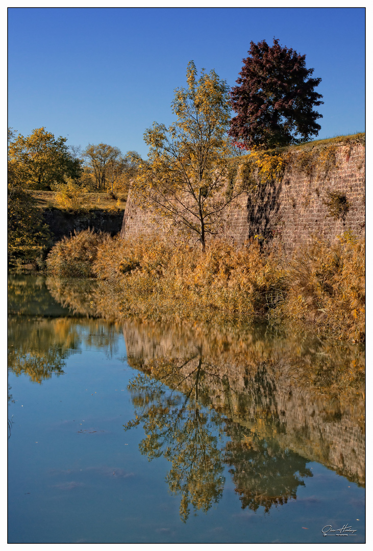 Automne Neuf-Brisach