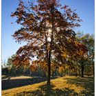 Automne Neuf-Brisach