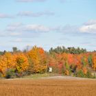 Automne nord américain