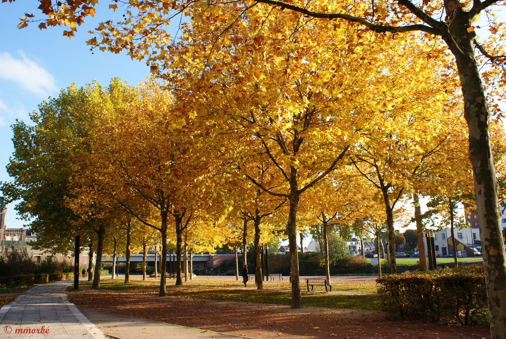 Automne Normand