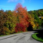 AUTOMNE À PASSENANS