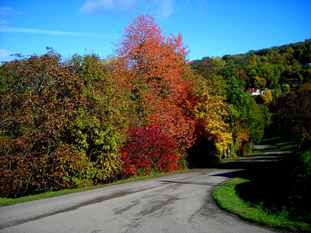 AUTOMNE À PASSENANS