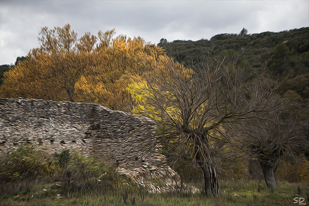 Automne prés du vieux mur