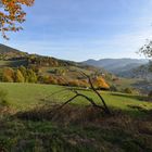 Automne sur les hauteurs de Fréland