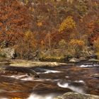 Automne sur les Pyrénées ariègeoises