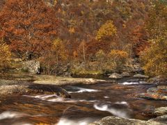 Automne sur les Pyrénées ariègeoises