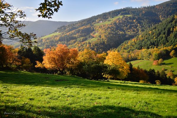 Automne sur les Vosges
