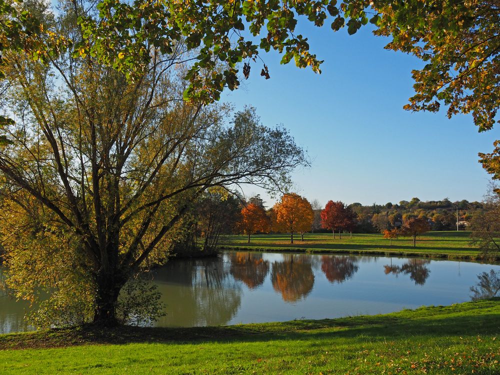 Automne sur un des lacs du parc de Gauge  -  Condom