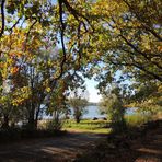 Automne sur Villegusien