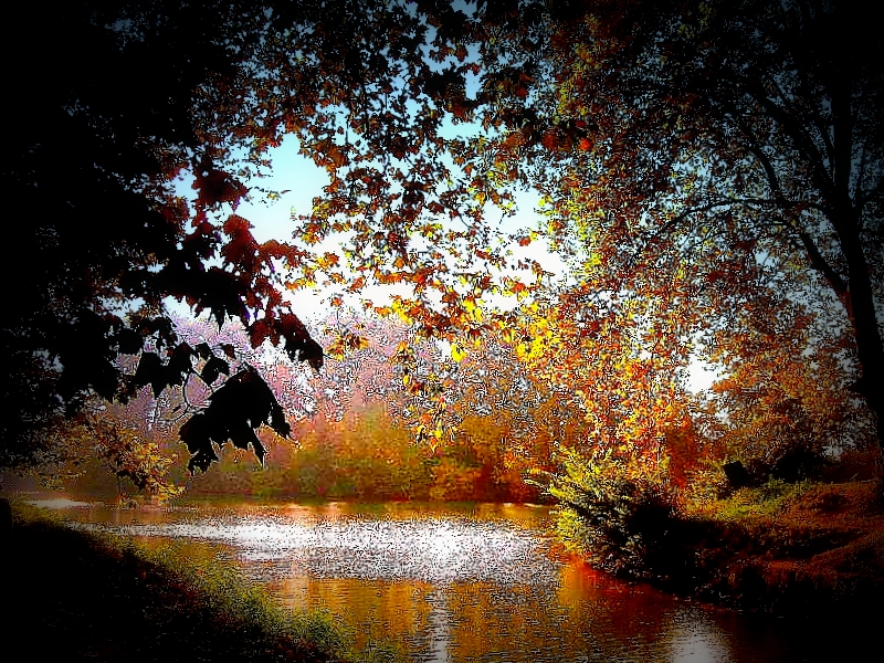 Automne surle fleuve