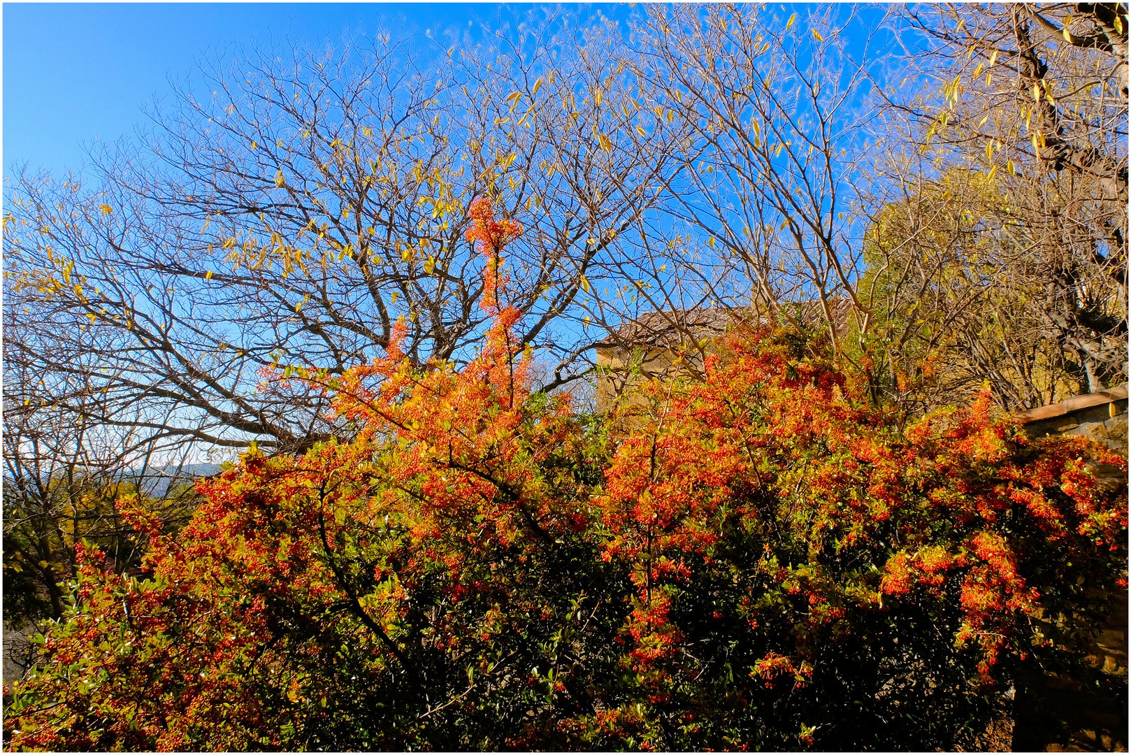 Automne tonique