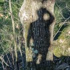 autoportrait à l'heure d'été