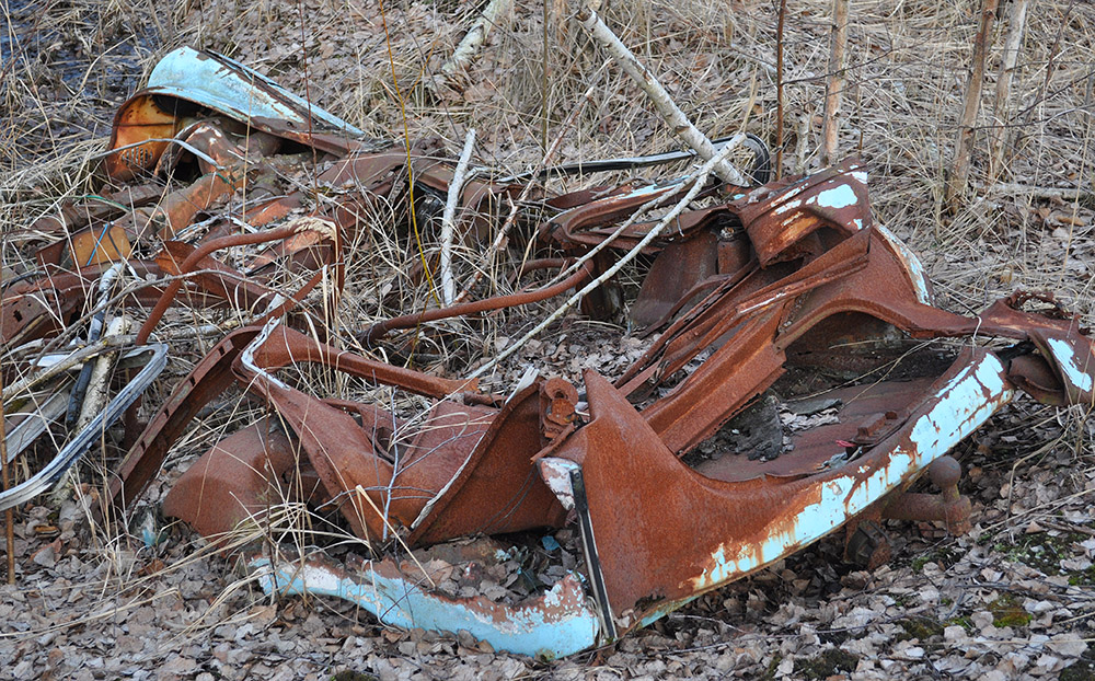 Autorecycling in der Natur