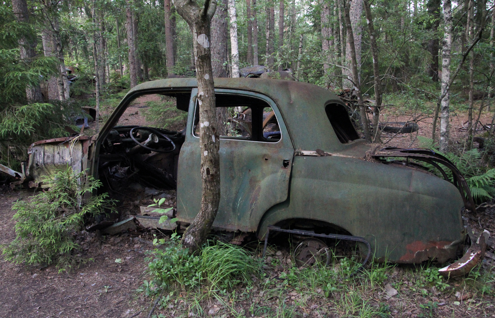 Autos im Herbst