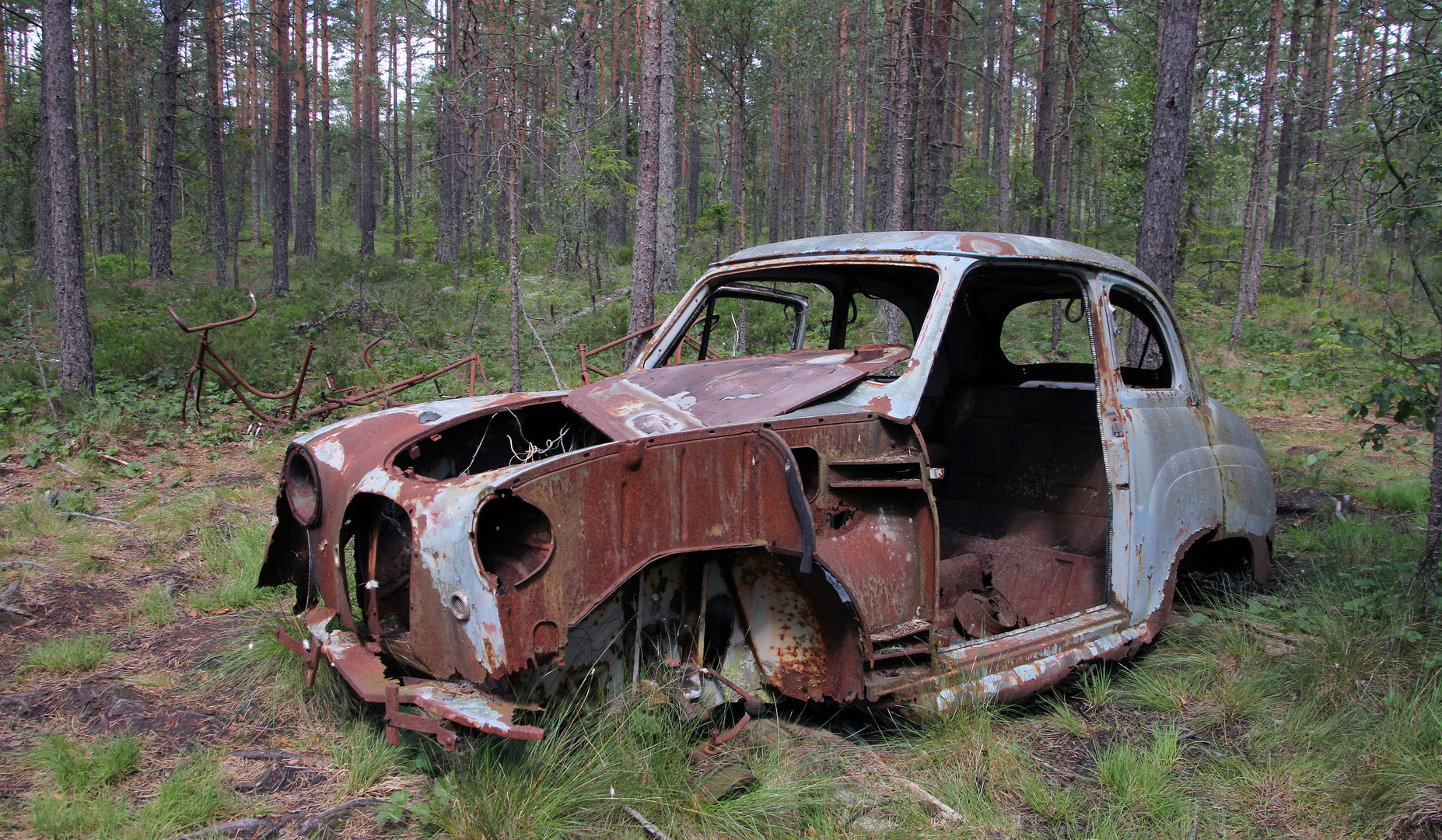 Autos im Herbst