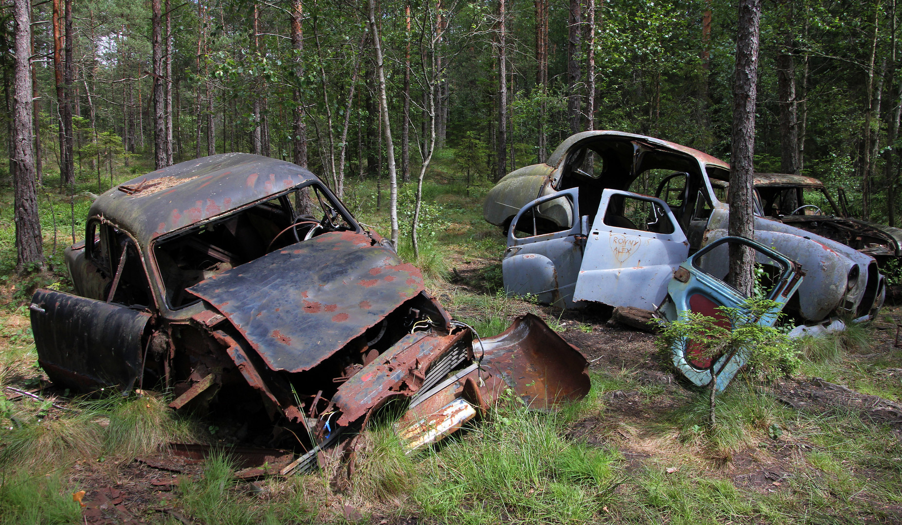 Autos im Herbst