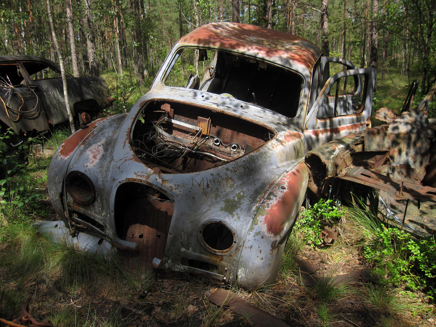 Autos im Herbst