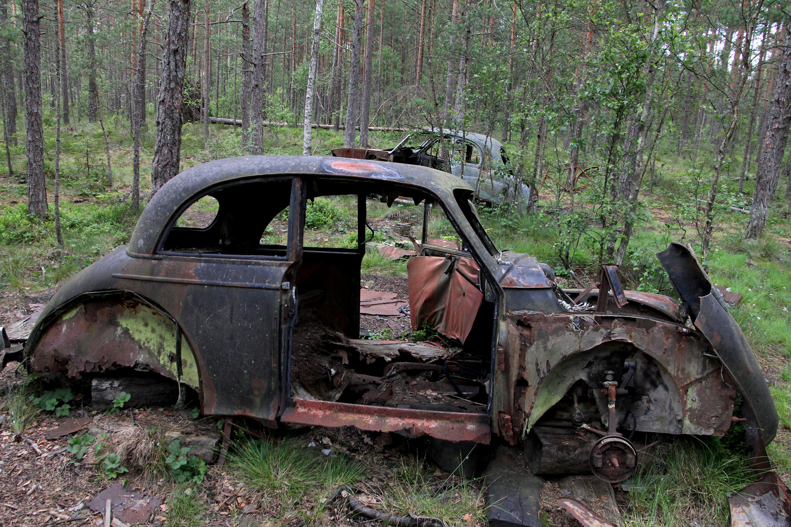 Autos im Herbst