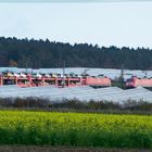 Autos nach Ingolstadt fahren