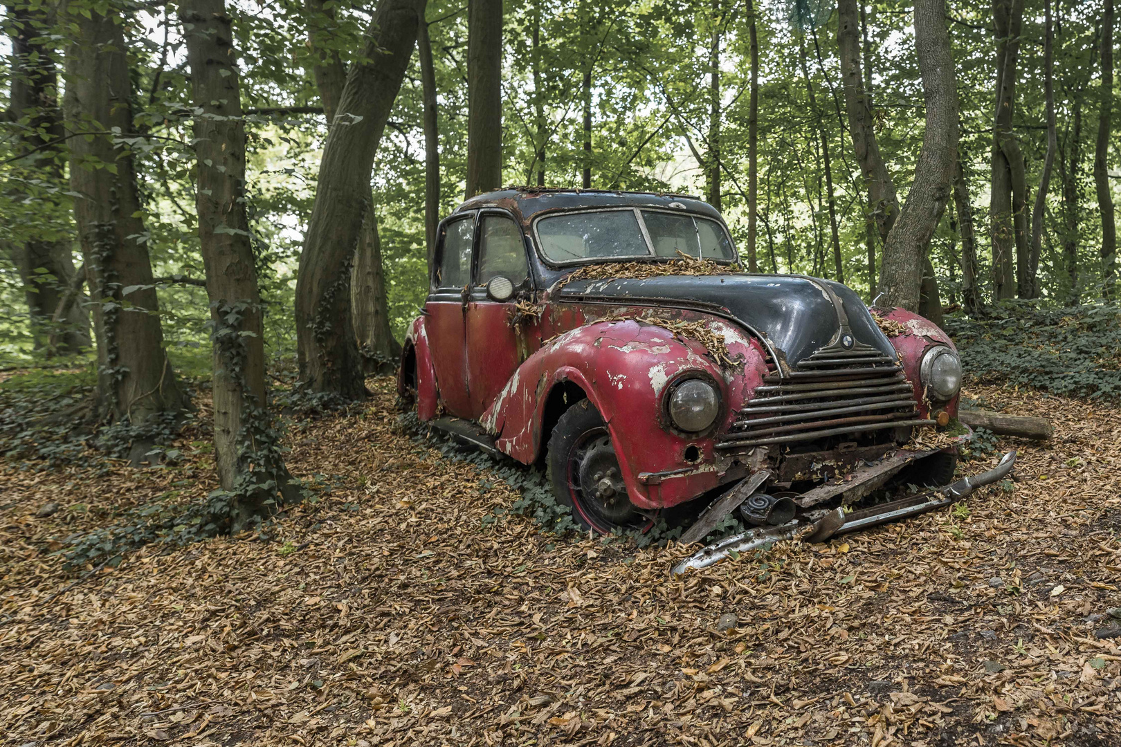 Autoskulpturenpark Neandertal