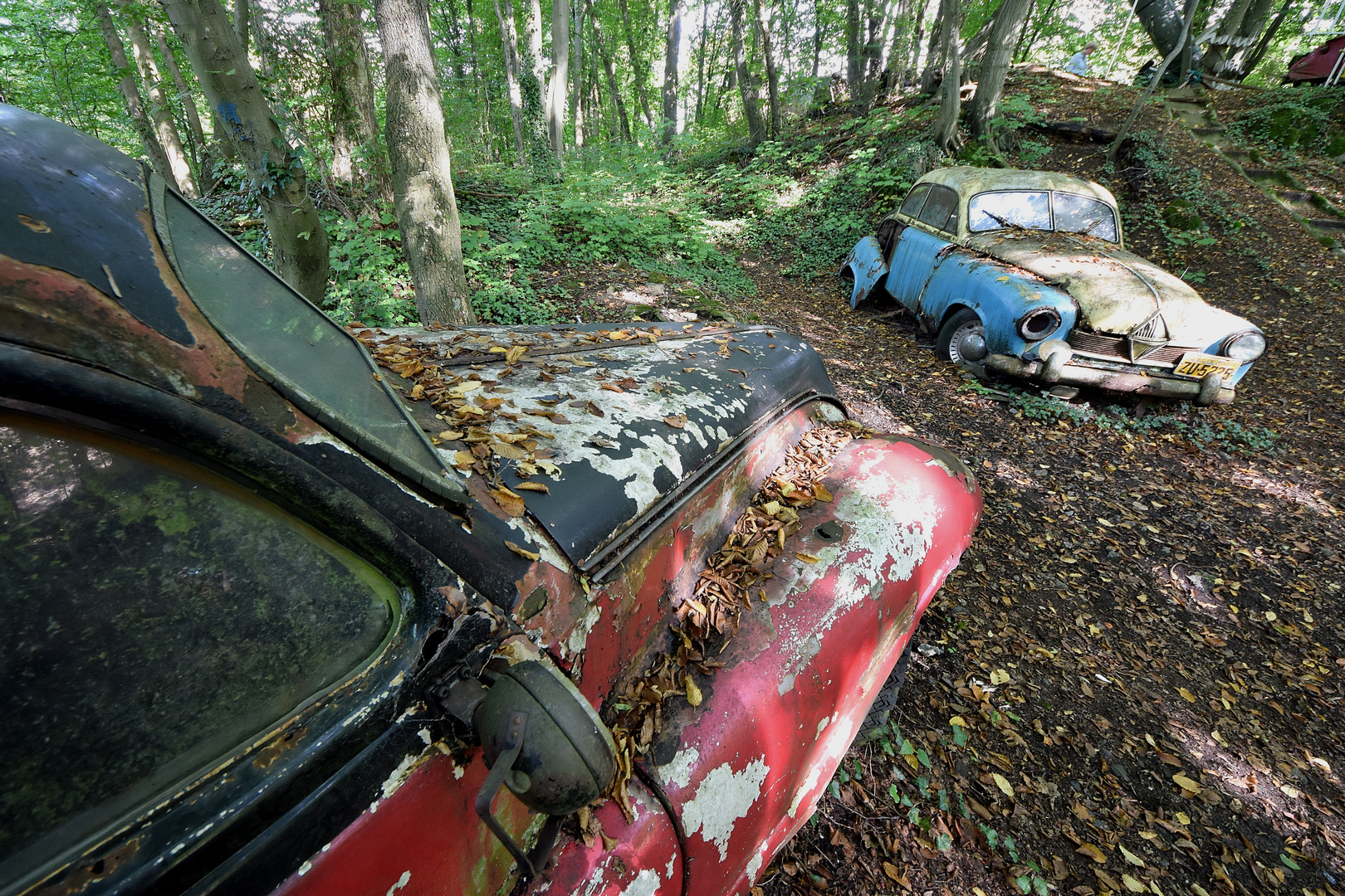 Autoskulpturenpark Neandertal 31