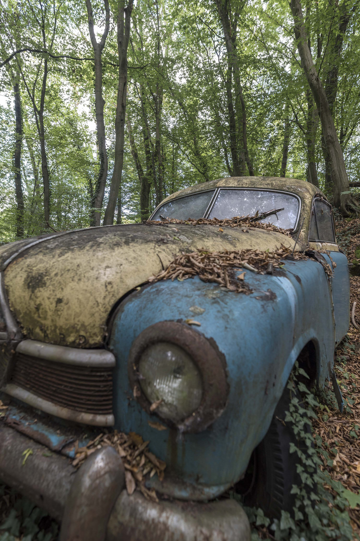 Autoskulpturenpark Neandertal