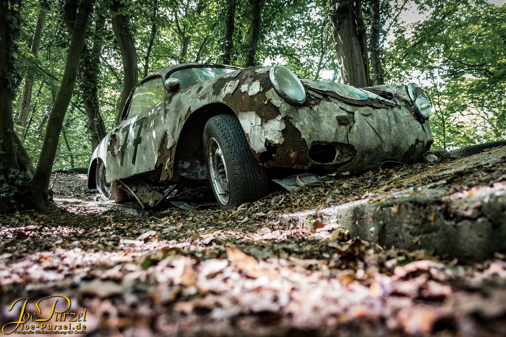 Autoskulpturenpark Neandertal