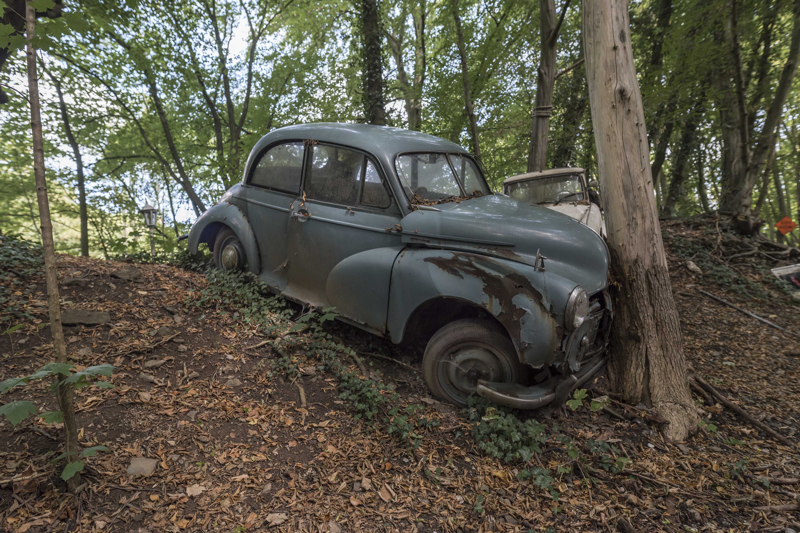 Autoskulpturenpark Neandertal