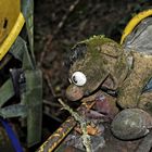 Autoskulpturenpark Neandertal - Ernie