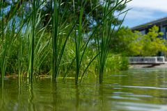 Autostadt Natur