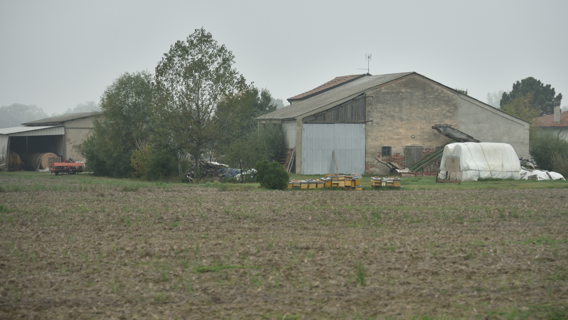 Autostrada 10 Die Bienen